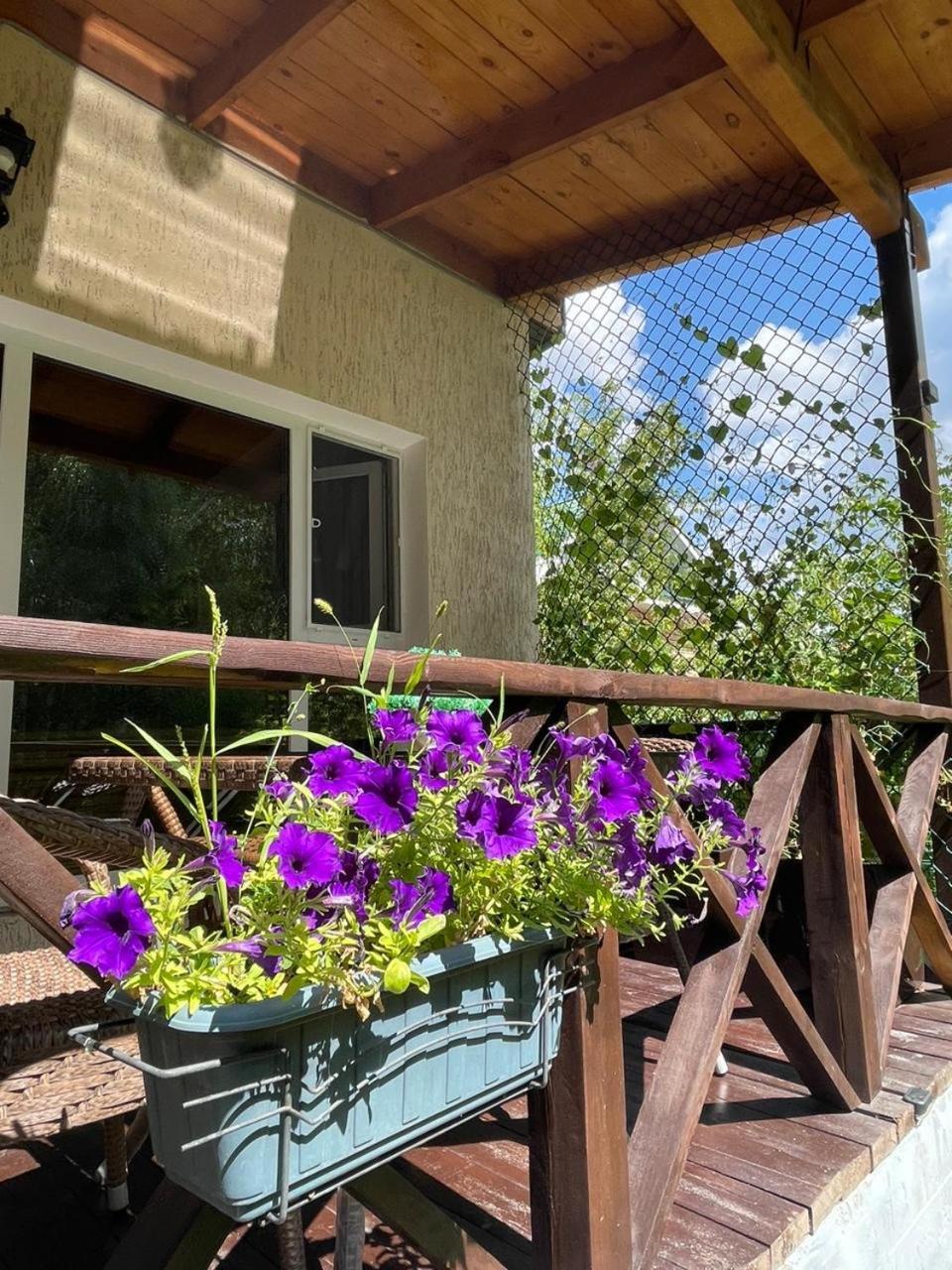 Bed and Breakfast Private Shchūchīnsk Exteriér fotografie